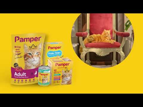 Keep Your Feline Friend Happy and Healthy: Introducing Pamper Cat Food for Ultimate Nutrition