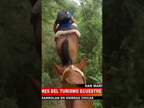 Actividades de Turismo Ecuestre en La Granja, Córdoba #caballos #tradiciones #tradicion #turismo