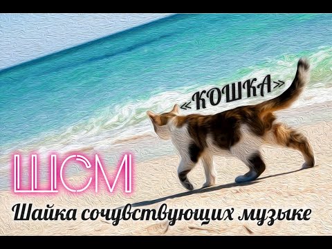 ШСМ | Шайка Сочувствующих Музыке - Кошка