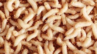 Ссылка