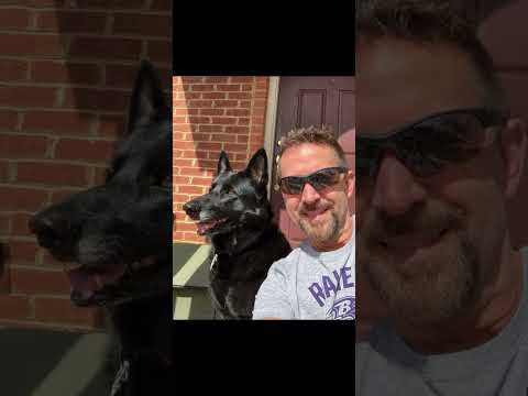 Our short time with Zeena Dog