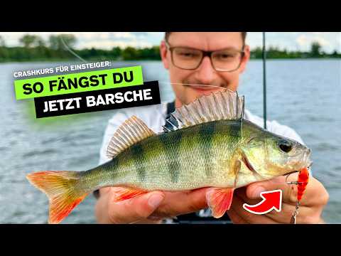 FANGGARANTIE - So fängst du Barsche im Sommer 🎣 ✅