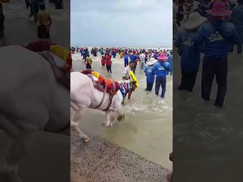 New digha sea beach😥🏖 #shorts #viralshorts #views