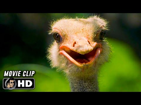 DUDE, WHERE'S MY CAR? Clip - "Ostriches" (2000)