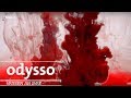 Junges Blut - ein Verjüngungselixir? | Odysso – Wissen im SWR