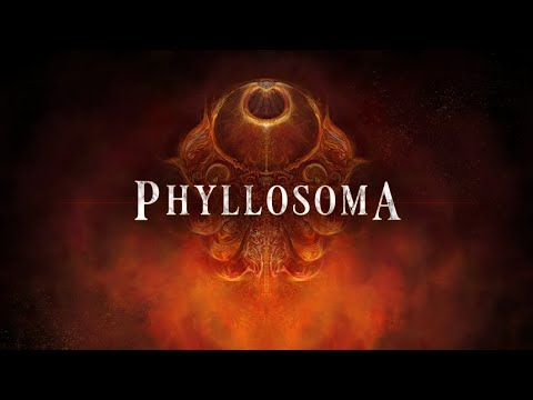 Phyllosoma youtube-video