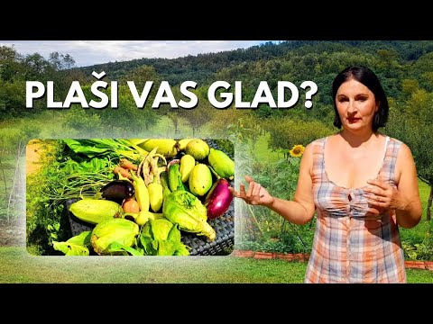 4 plants that can save you from HUNGER