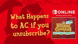 What Happens To Animal Crossing: Happy Home Paradise If You Unsubscribe to Nintendo Switch Online?
