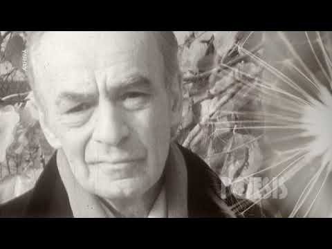 Emil Botta - EGALII CU ZERO