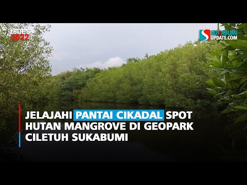 Jelajahi Pantai Cikadal Spot Hutan Mangrove di Geopark Ciletuh Sukabumi
