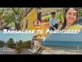BANGALORE To PONDICHERRY Vlog Pet Friendly Resort Tour Travelling 350 Km With Dog