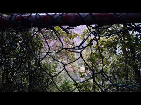 සිරී පාදෙ (ලිහිනි හෙල) -sri pada-lihini hela