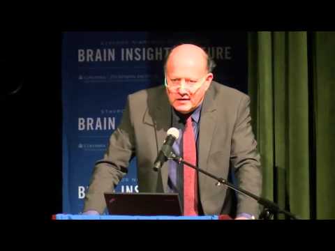 Heading off Damage: New Insights into Traumatic Brain Injury