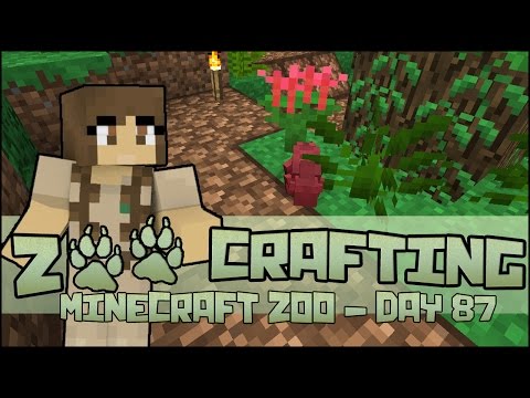 Mists & Moss in the Chameleon Exhibit! 🐘 Zoo Crafting: Season 2 - Episode #87