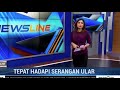 Wonderful Presenter