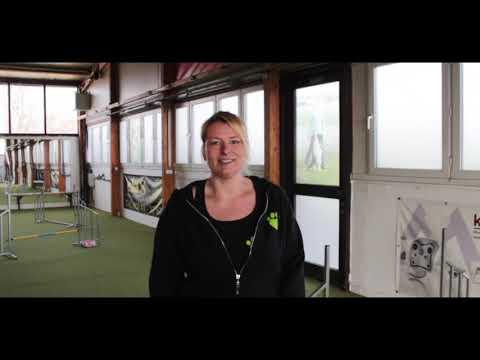 Imagefilm Dog Campus