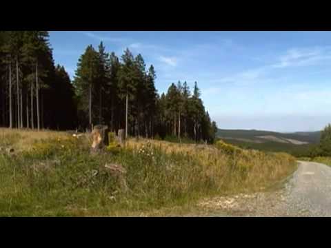 Stempelstelle 23 Molkenhausstern im Harz