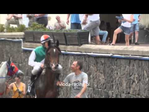 Gon. V (N. Janowa) - 30.06.2012 - Hyyaf Al Khalediah (Tiwaiq - WFA Harmony)