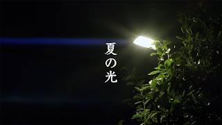 Summer Night Lights video preview