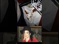 Place Where Michael Jackson Died Data Chrome