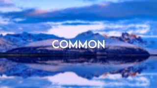 ZAYN - Common (Lyric Video)