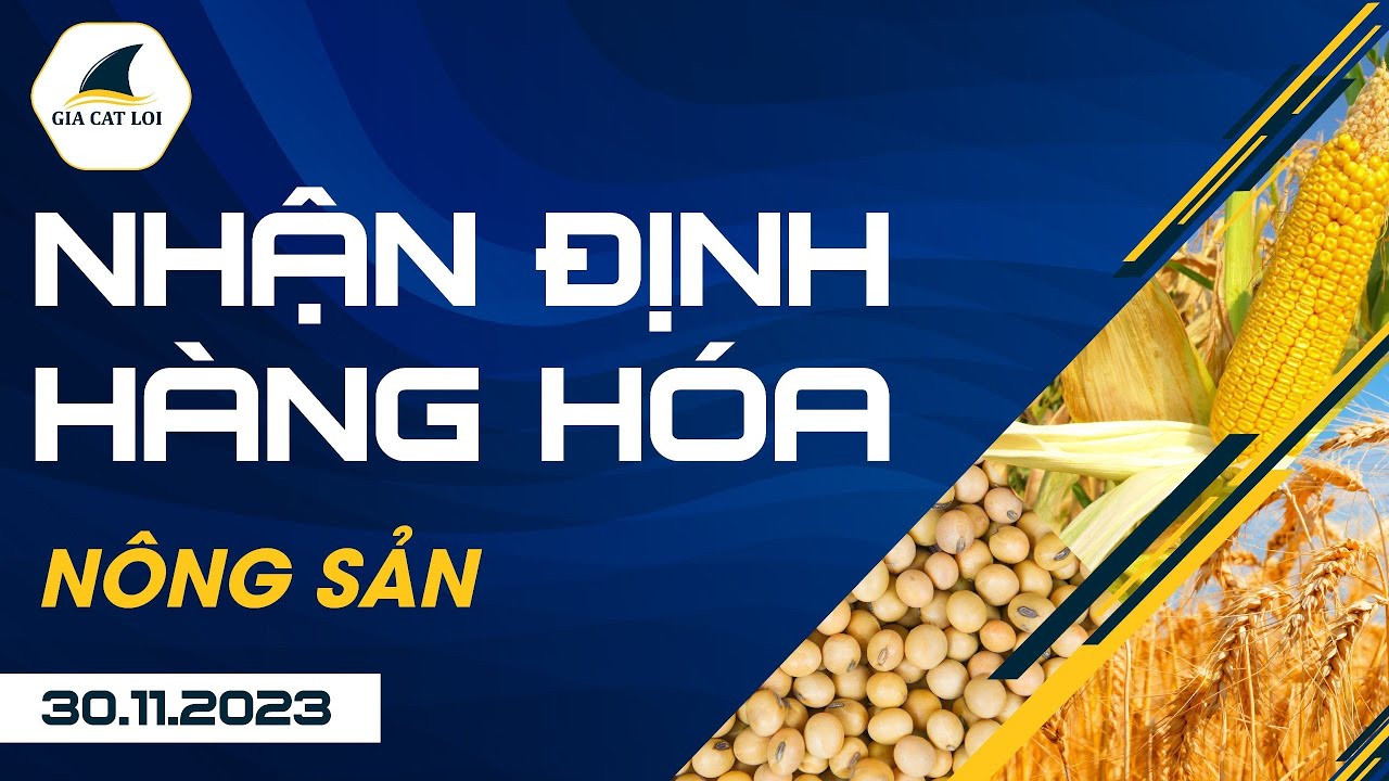 Nhận Định Hàng Hoá Nông Sản Ngày 30/11/2023