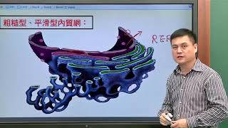 高中生物