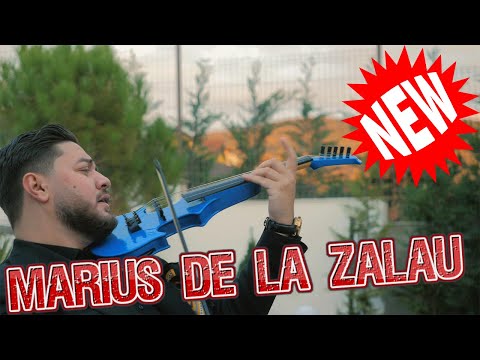 MARIUS DE LA ZALAU ✅INSTRUMENTALA ✅BOTEZ FLORIN AFACERISTU  ✅ PREMIERA LIVE 2024