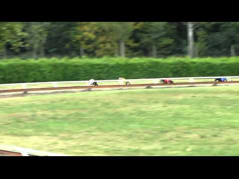 European Derby Plate 1st semifinal