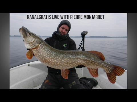 Kanalgratis Live - Pierre Monjarret - Fly vs Jerk 8