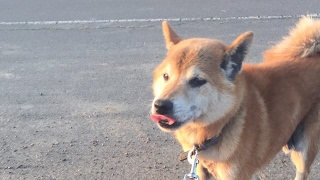 暇を潰す