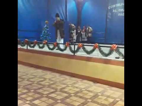 Junii Petrileni la Făget - Transmisie LIVE