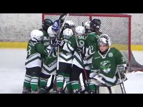 2018. 01. 06. FTC -  Goodwill Pharma Szeged Vizmű