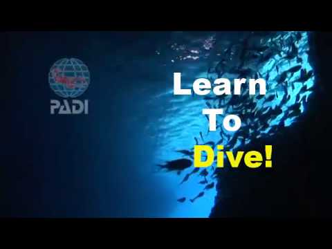 Learn to Dive - OWD Course - Scubasail®