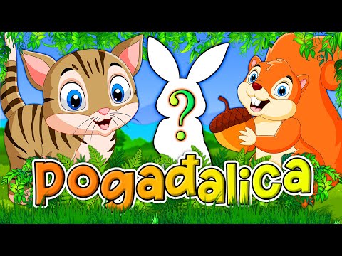 POGAĐALICA 💚 Pesmica za decu 💛 Učimo životinje ❤️️ Zvukovi životinja 💜 Gde žive životinje 💚 Animals