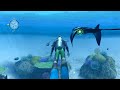 Endless Ocean wii Gameplay