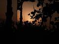 Surya Dev Bhajan Sunday Status Sunday Whatsapp Video Suryadev Bhajan Sunrise Shorts Trending