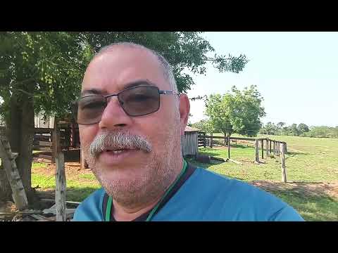 Amaldiçoa a Deus e morre - Rondônia em destaque 