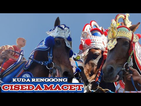 Kuda renggong bikin macet - Video kuda menari