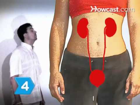 人体のシステムを理解する方法 (How to Understand the Human Body Systems)