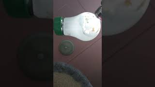 Crackback