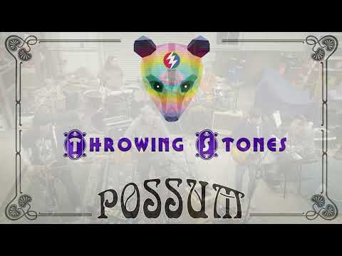 Promotional video thumbnail 1 for POSSUM (we play Dead)