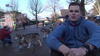 preview picture of video 'Huskytocht voor het goede doel tussen Olst en Wijhe'