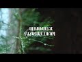 Kadhal Vaithu Kadhal Vaithu Tamil WhatsApp Status Rizwan
