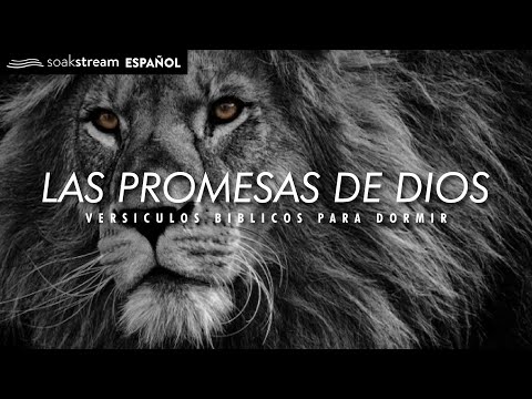 Las Promesas de Dios | Versiculos Biblicos Para Dormir