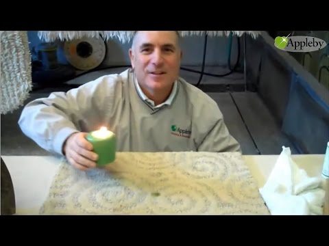 How To Remove Candle Wax From Carpets Or Area Rugs