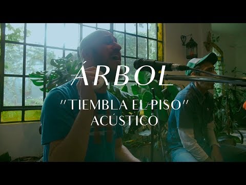 Arbol video Tiembla el piso - CMTV Acstico 2017 