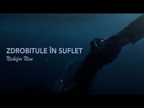 Nichifor Nicu - Zdrobitule în suflet