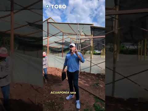 TOBO💧🛠️🌞¡𝐌𝐚𝐧𝐨𝐬 𝐚 𝐥𝐚 𝐨𝐛𝐫𝐚 𝐩𝐨𝐫 𝐮𝐧 𝐟𝐮𝐭𝐮𝐫𝐨 𝐬𝐨𝐬𝐭𝐞𝐧𝐢𝐛𝐥𝐞! #molinostobo #agriculturaregenerativa #acuaponía