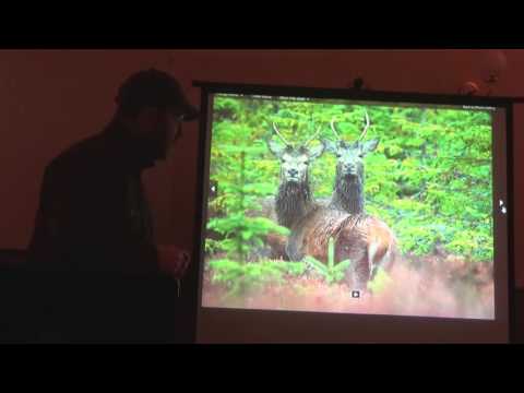 Deer ID DSC1 Deer Stalking Certificate Introduction to UK Deer